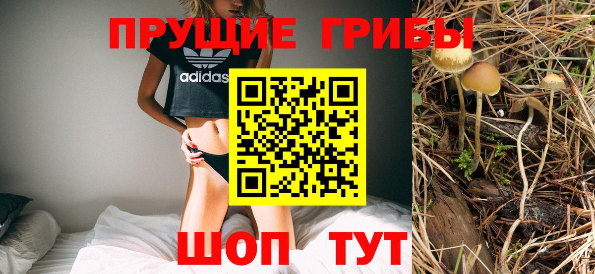 Галлюциногенные грибы Cubensis  Вход с VPN  Узловая 