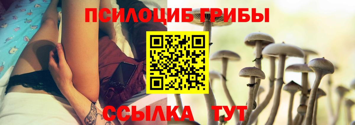Галлюциногенные грибы мухоморы Узловая